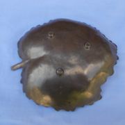 Brass leaf catchall