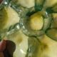 6 oyster plates by Foucard-Jourdan from the 50s