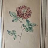 Botanical illustration