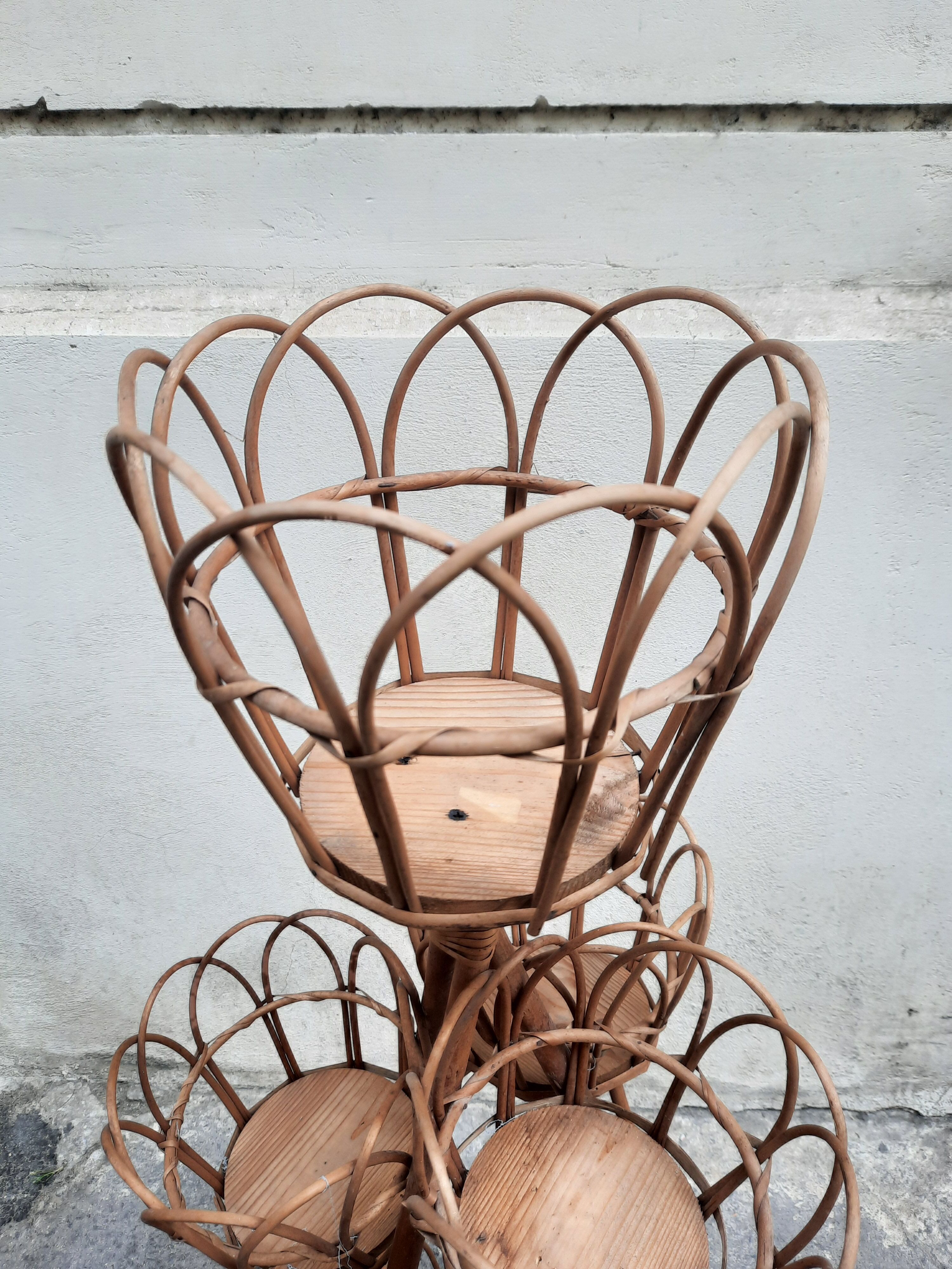 Rattan plant holder