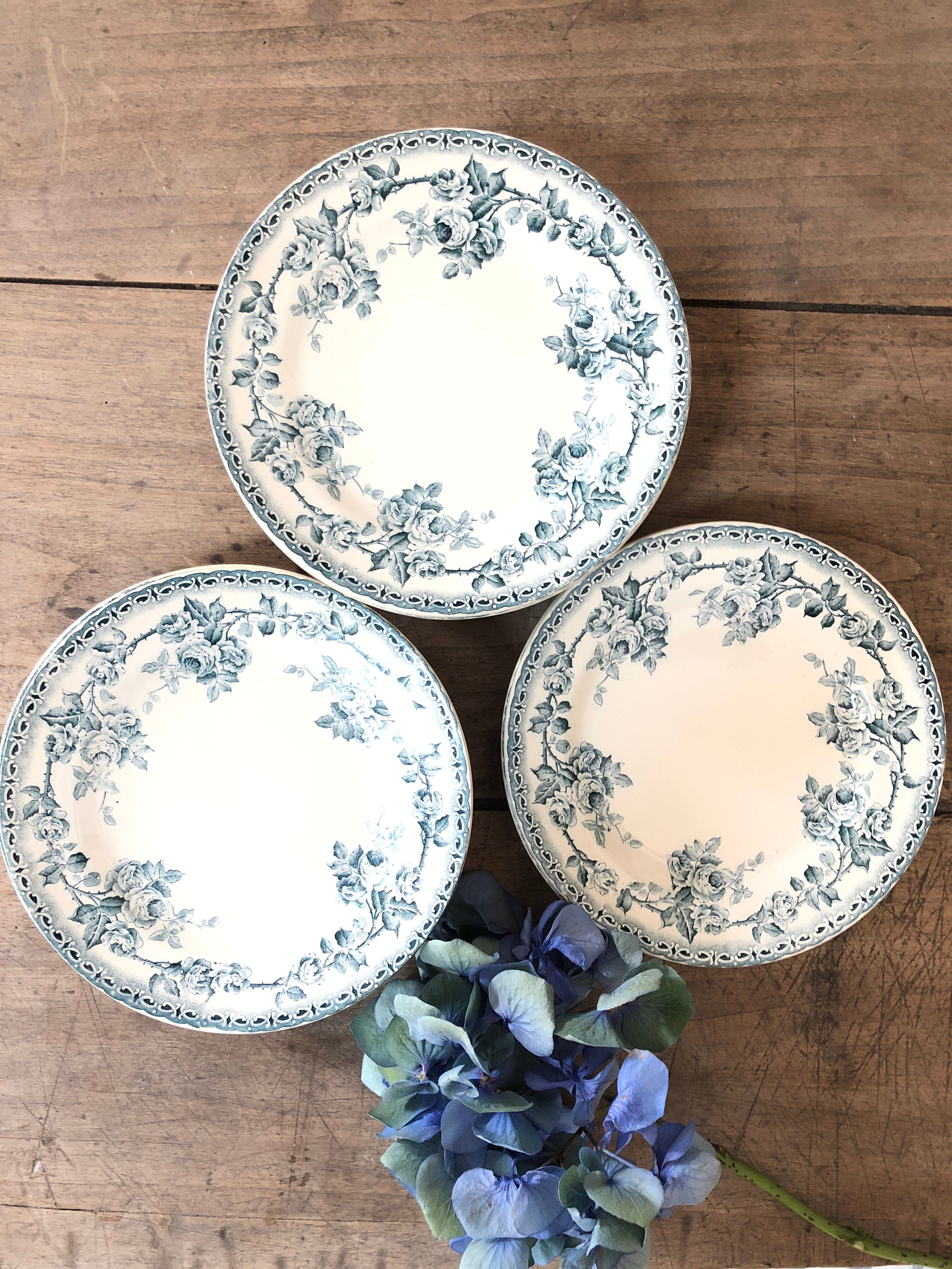 Iron earth dessert plates