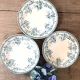 Iron earth dessert plates