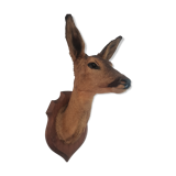 Doehead Hunting Trophy