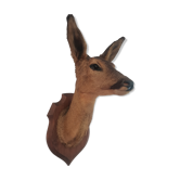 Trophée de chasse tête de biche