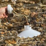Swan neck brass and opaline wall light