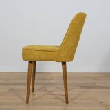 Polish Shell Chairs from Bydgoszcz Furniture Factory, 1960s, Set of 6