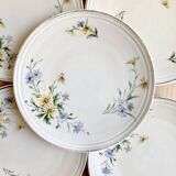 6 Limoges porcelain dessert plates 1915