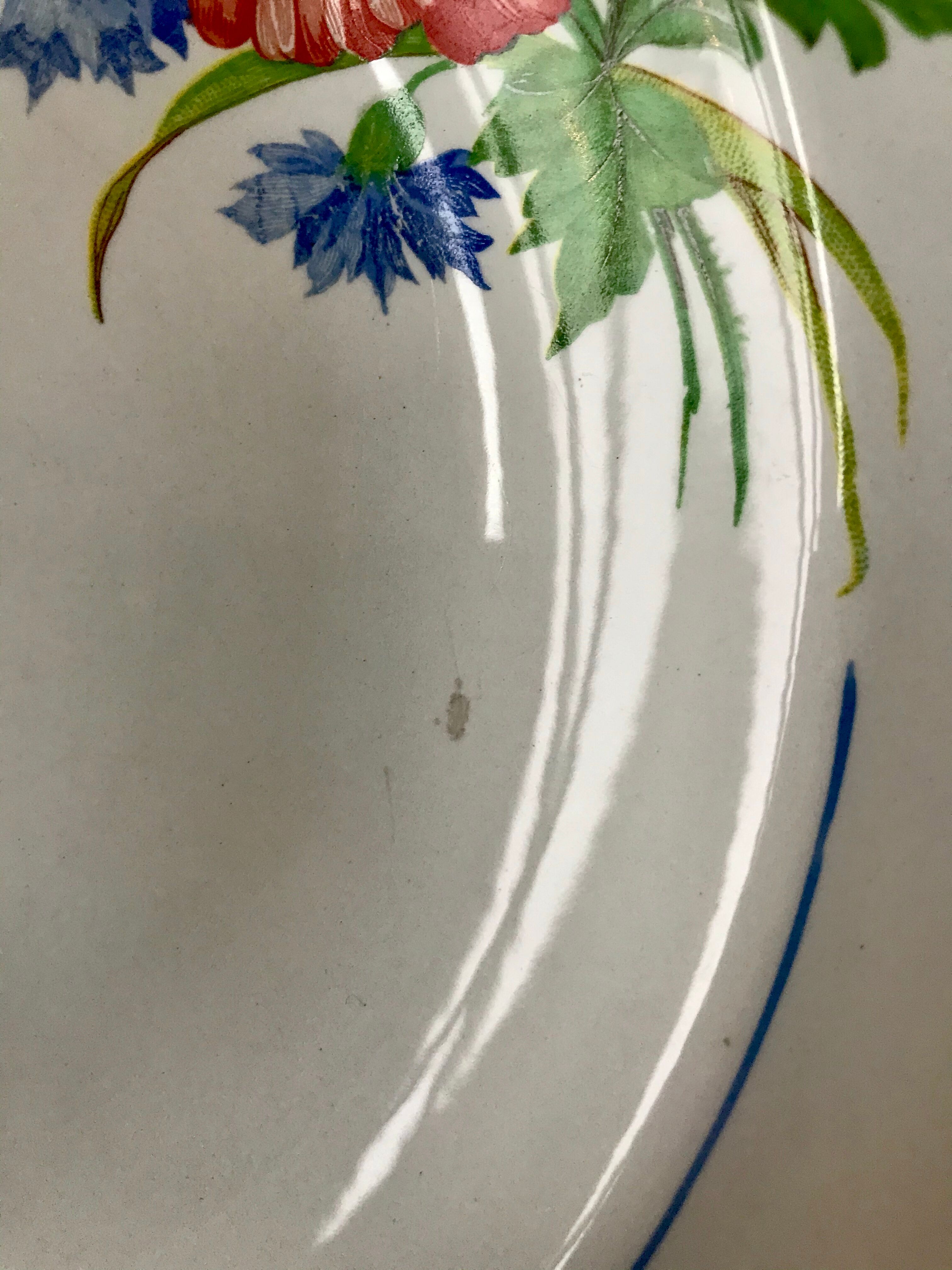 Lot of 8 hollow plates Salins model Champêtre