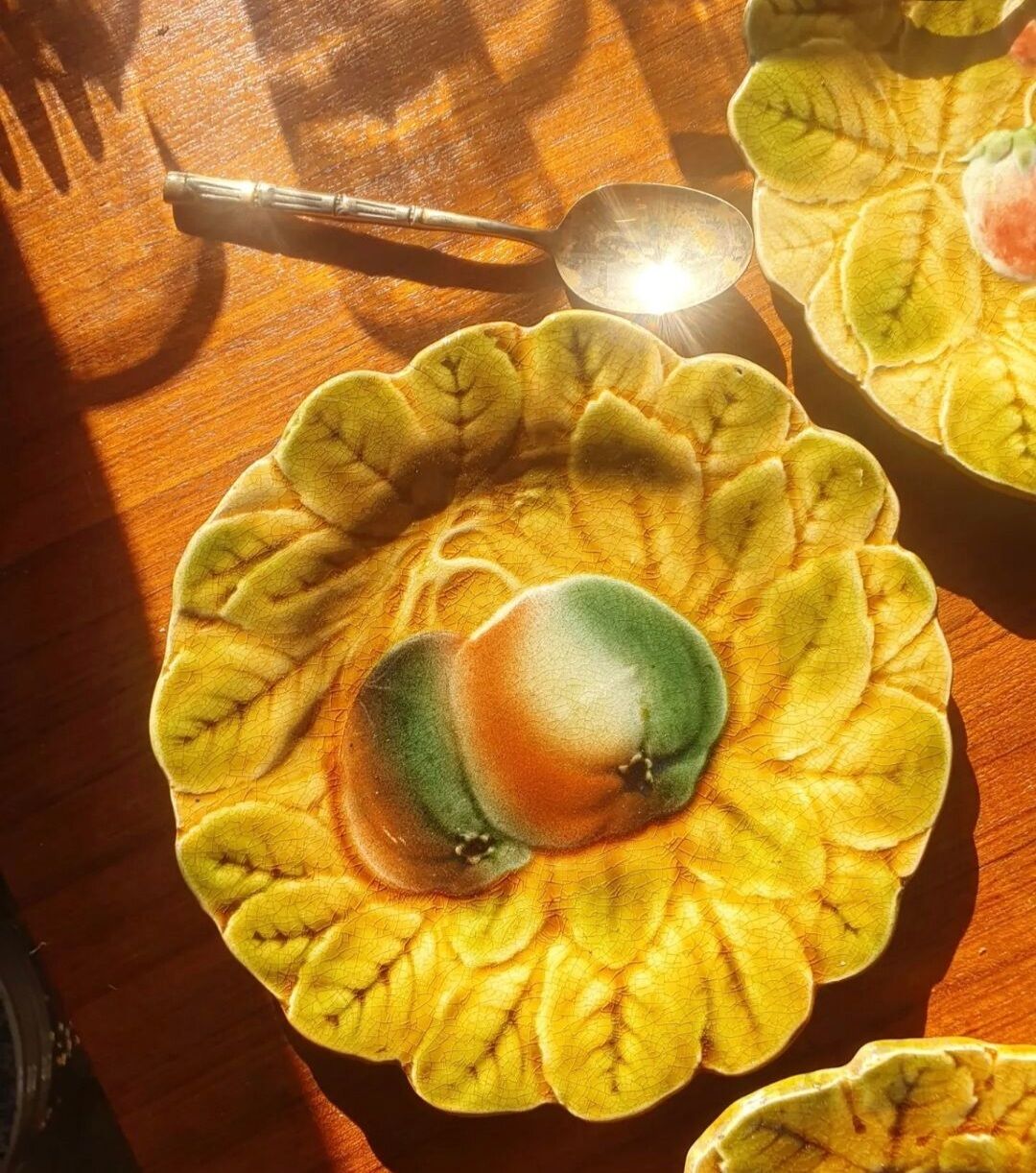 Old fruit plates in slurry