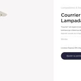 Courrier Ligne Roset floor lamp