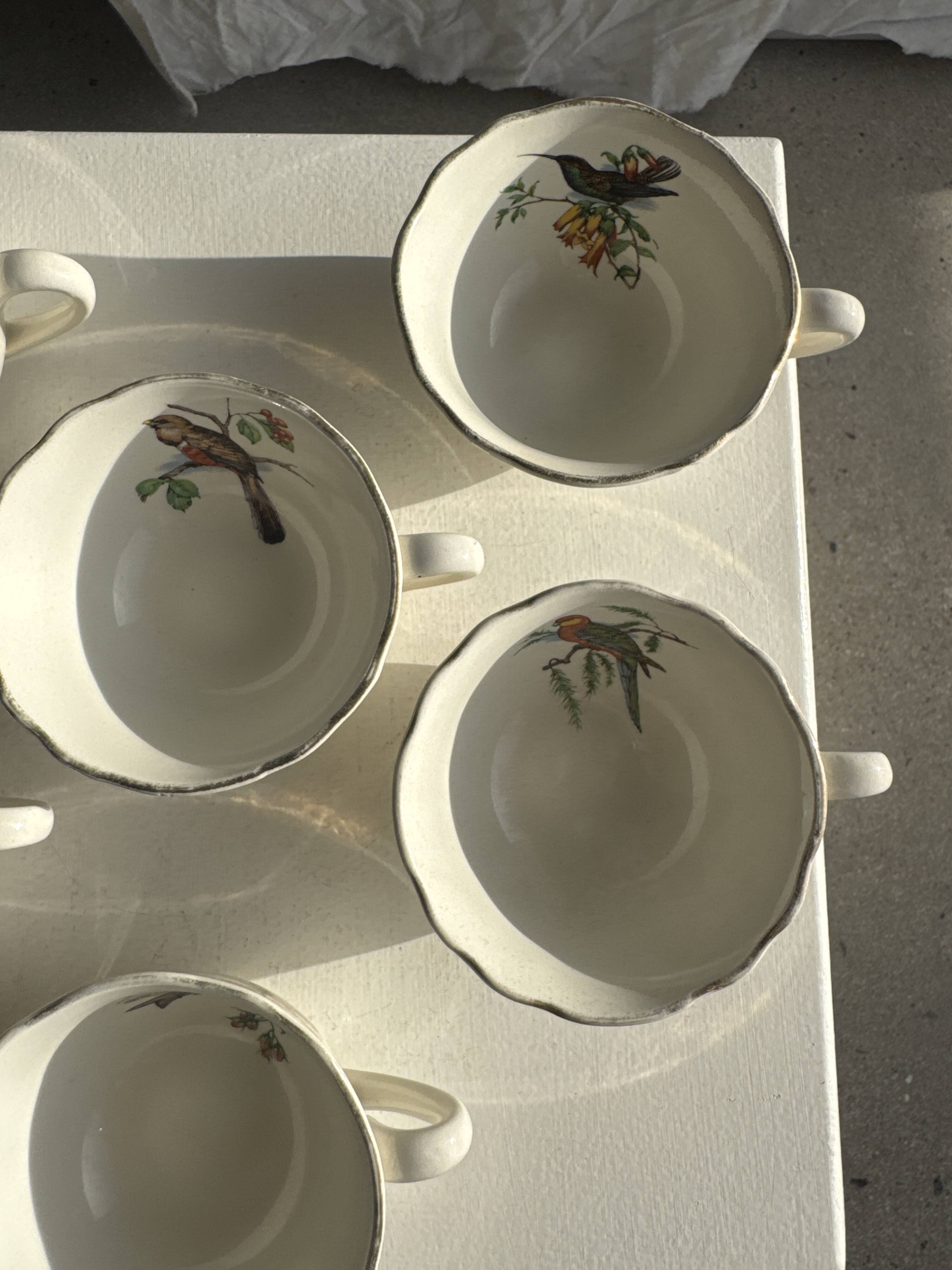 Lot de 6 tasses à café à motifs d'oiseaux anciennes