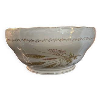 Fine porcelain salad bowl