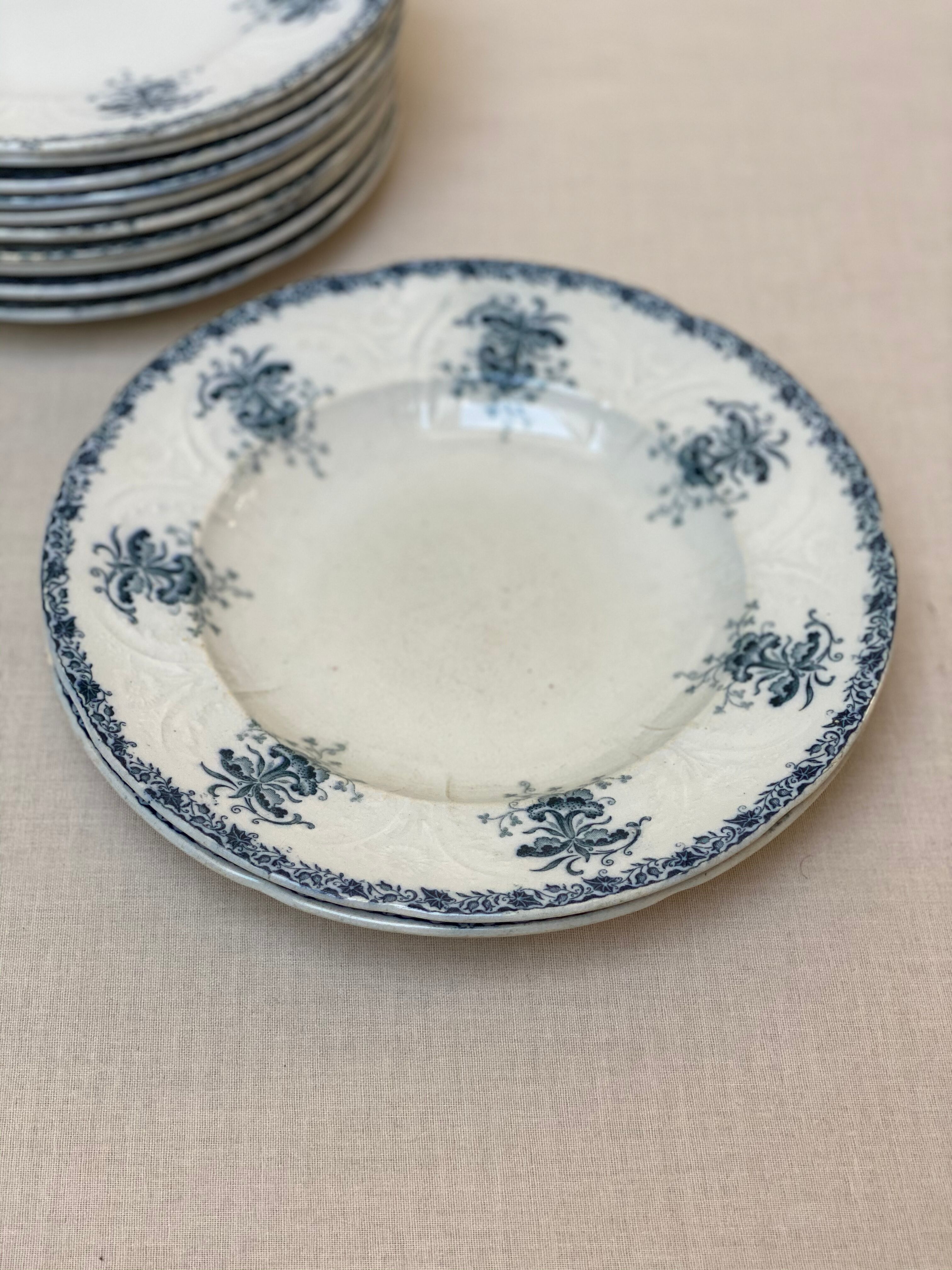 Plates iron earth flowers