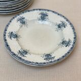 Plates iron earth flowers