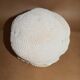 Corail Blanc boule diamètre 20 cm