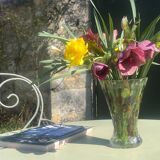 Bohemian glass vase - Max Kannegiesser