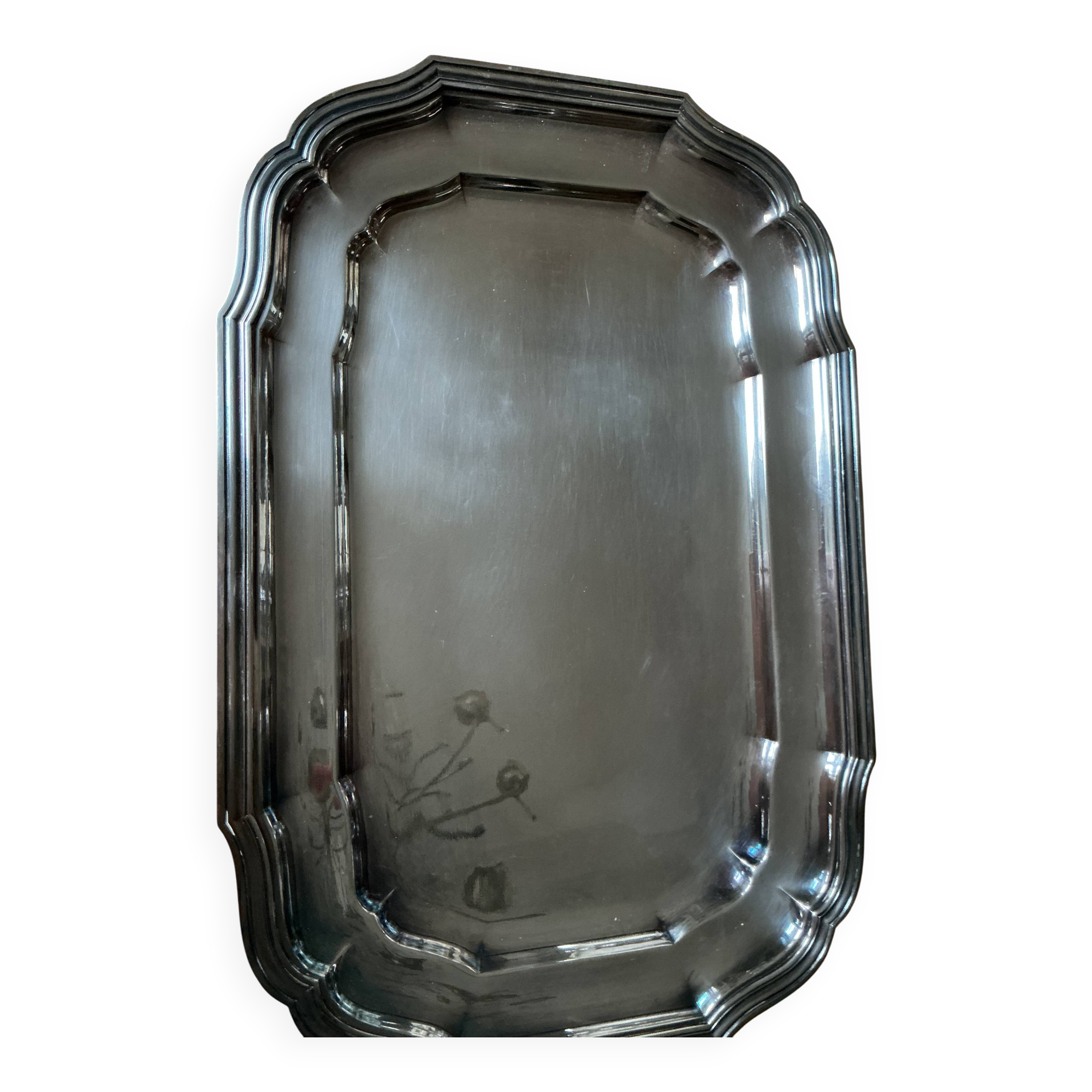 Silver-plated metal plate François Frionnet