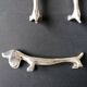 6 knife holder silver metal dog