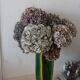 Vase Murano