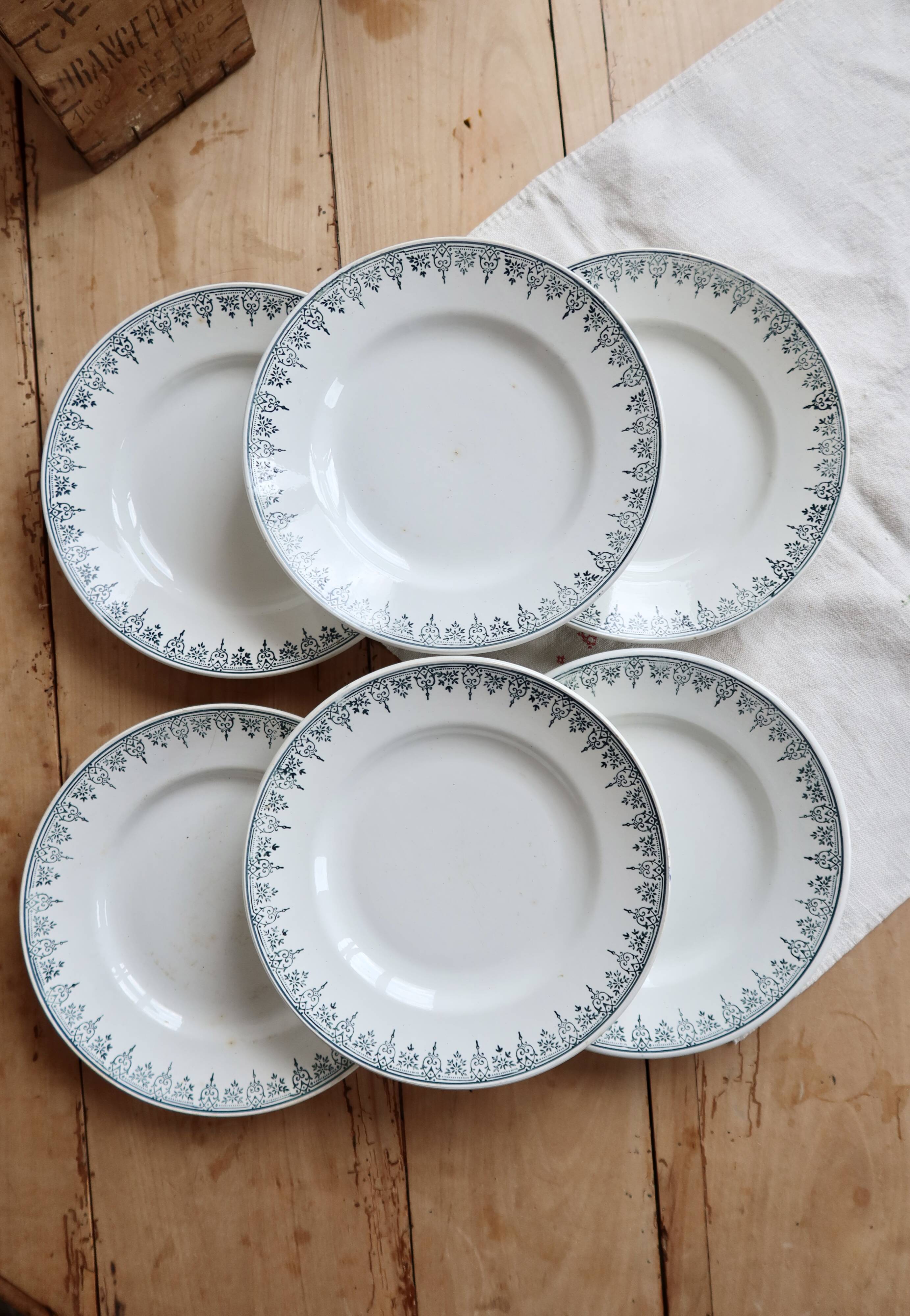 6 vintage plates from Terre de Ter Saint Amandinoise, Saint Amand model 4500.