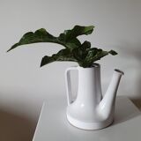 White earthenware pitcher