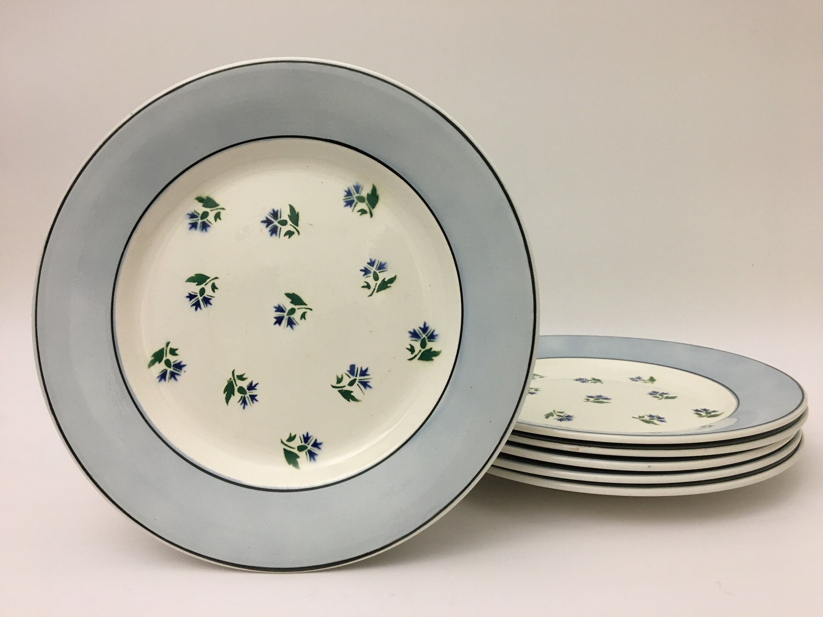 Set of 6 plates flat "digoin sarreguemines" model albe