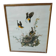 Lithograph by J. Audubon "Yellow Breasted Cat" from the 50s/60s, framed