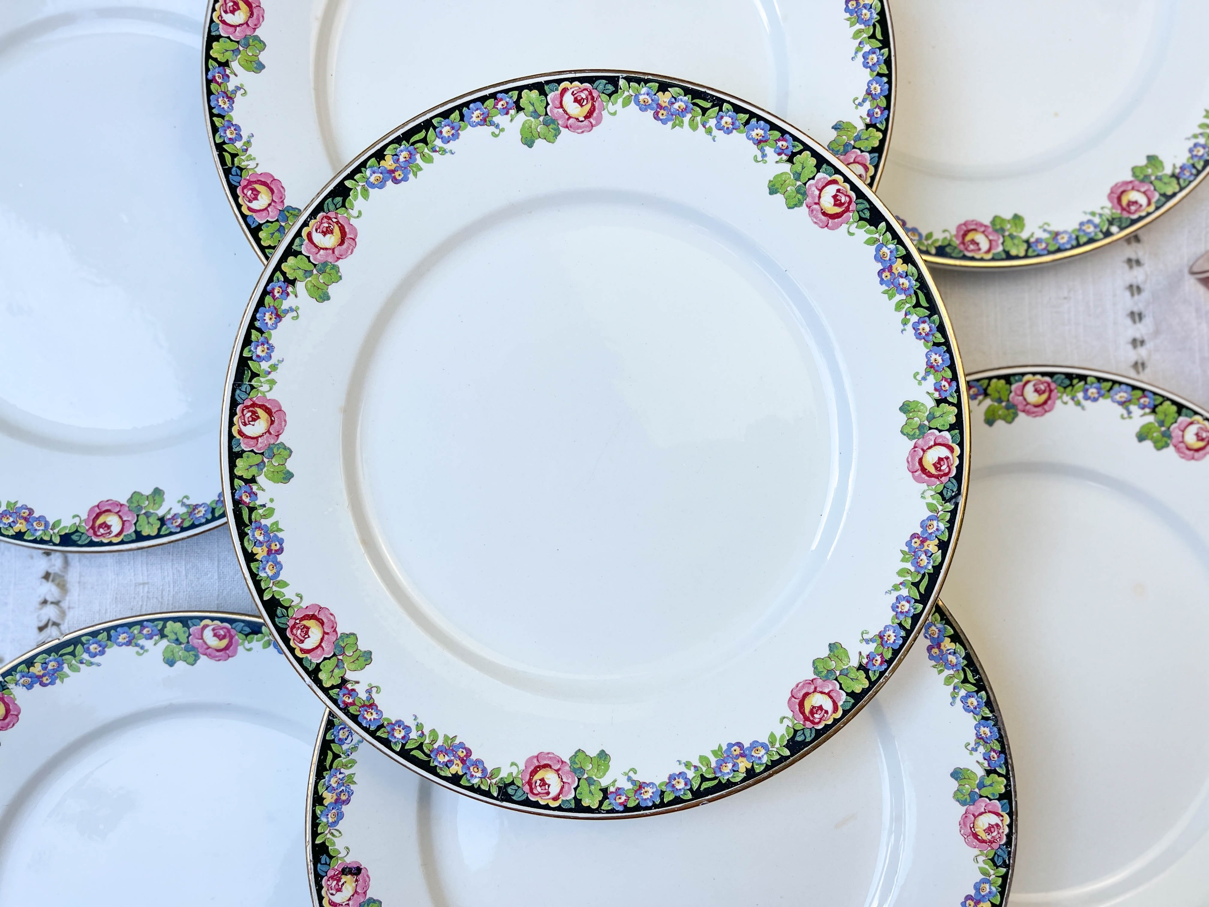 7 opaque porcelain dinner plates Digoin floral pattern 3984