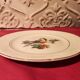 6 dessert plates Digoin Sarreguemines with coloured bird design.