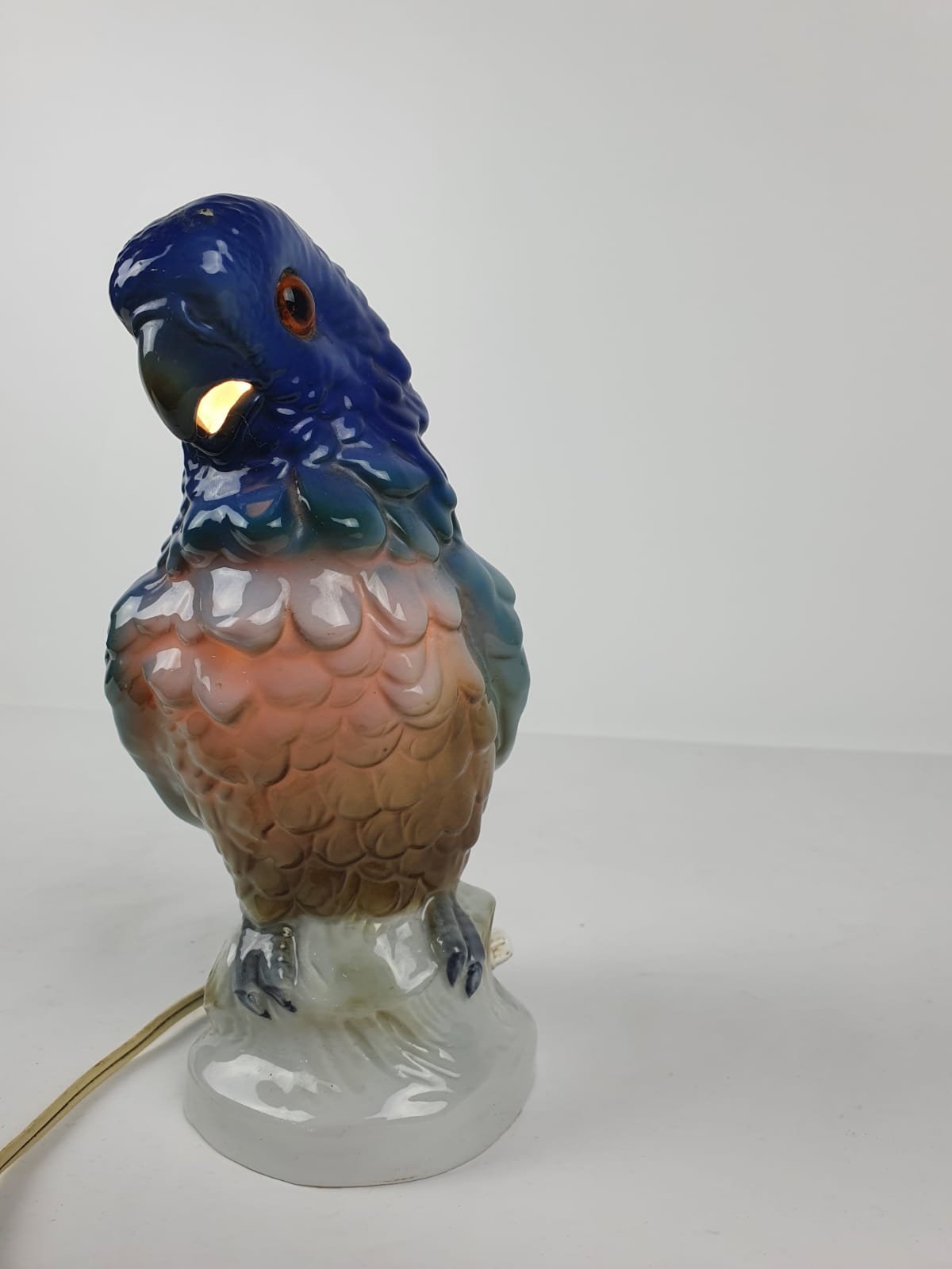 Night light parrot, twentieth century