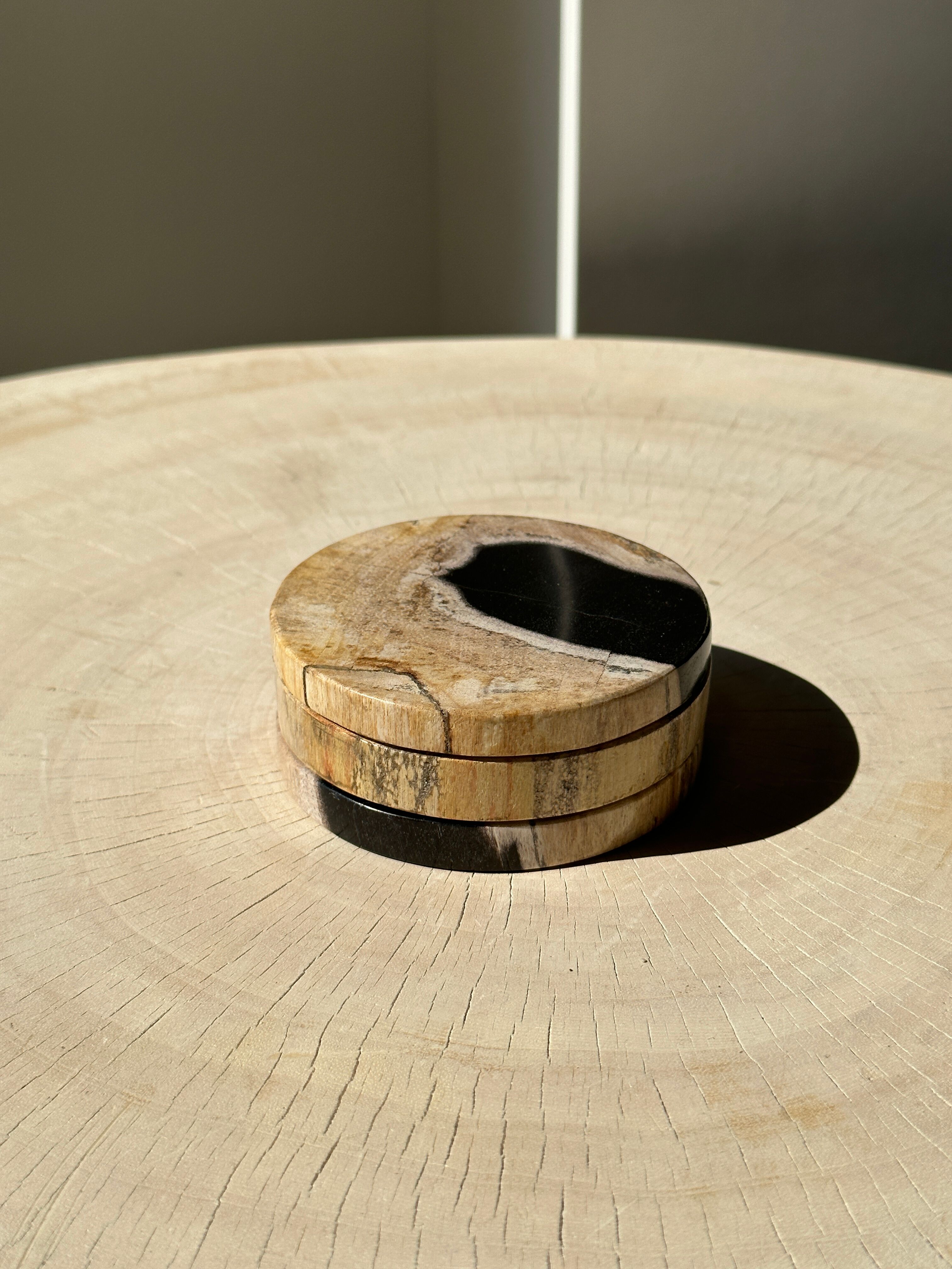 Set of 3 fossilized wooden coasters (clear)