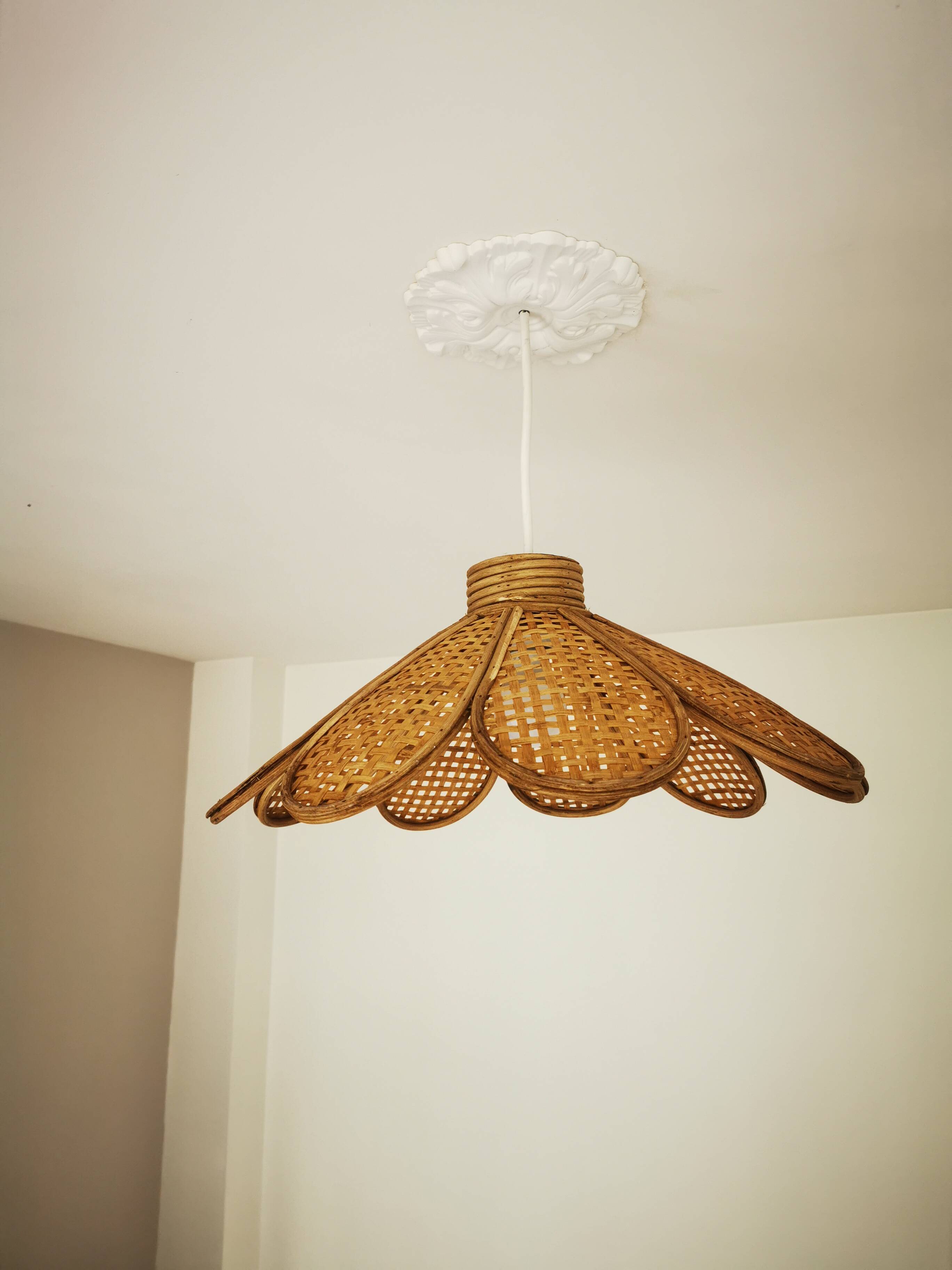 Bamboo rattan suspension and canning