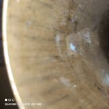 Shell socket vases