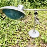 Lampe indus L. F. Solere