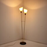 1960s Brass Floor Lamp, Czechoslovakia