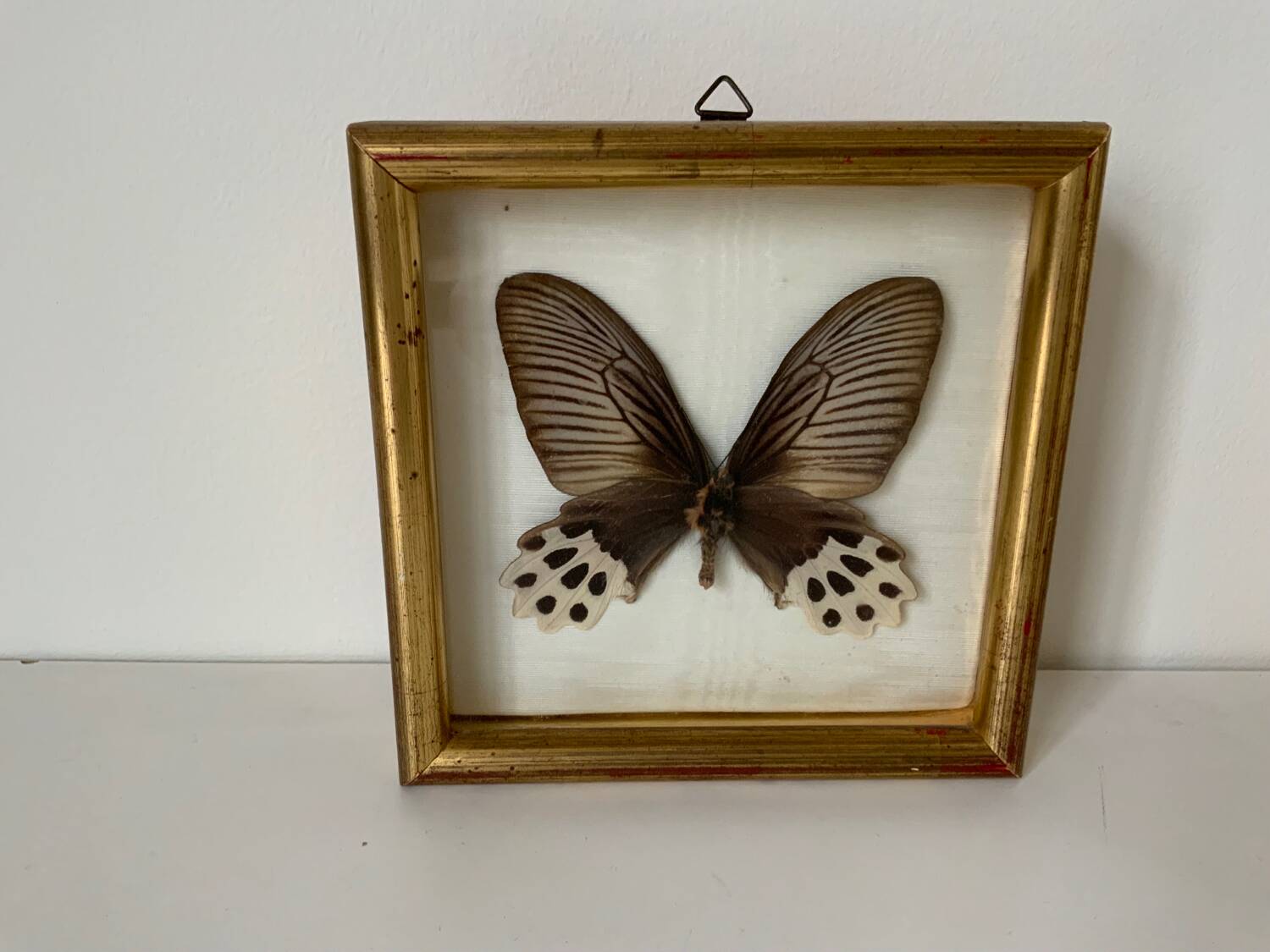 Set of 3 butterfly frames