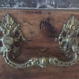 Old trunk in camphier and brass