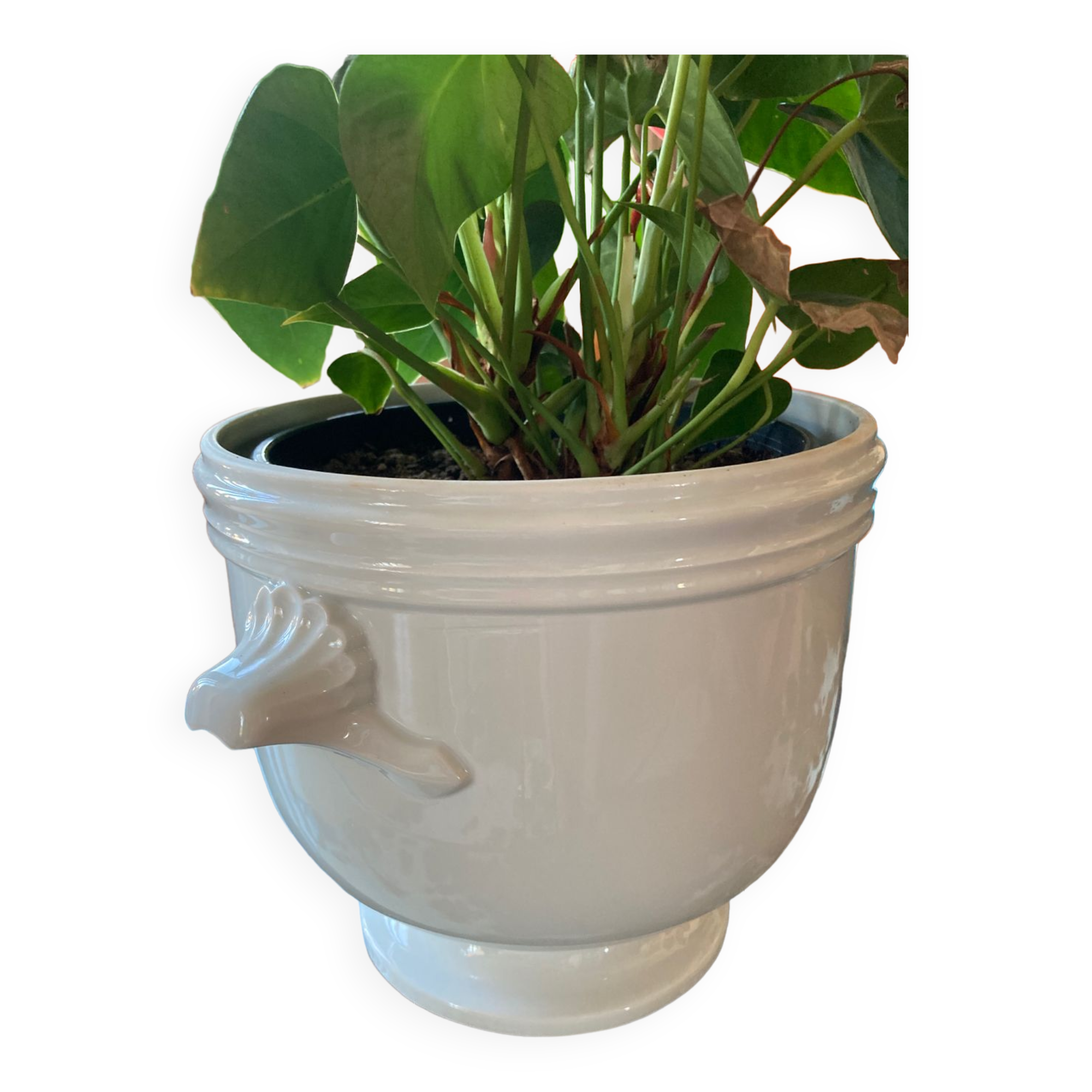White porcelain pot cover