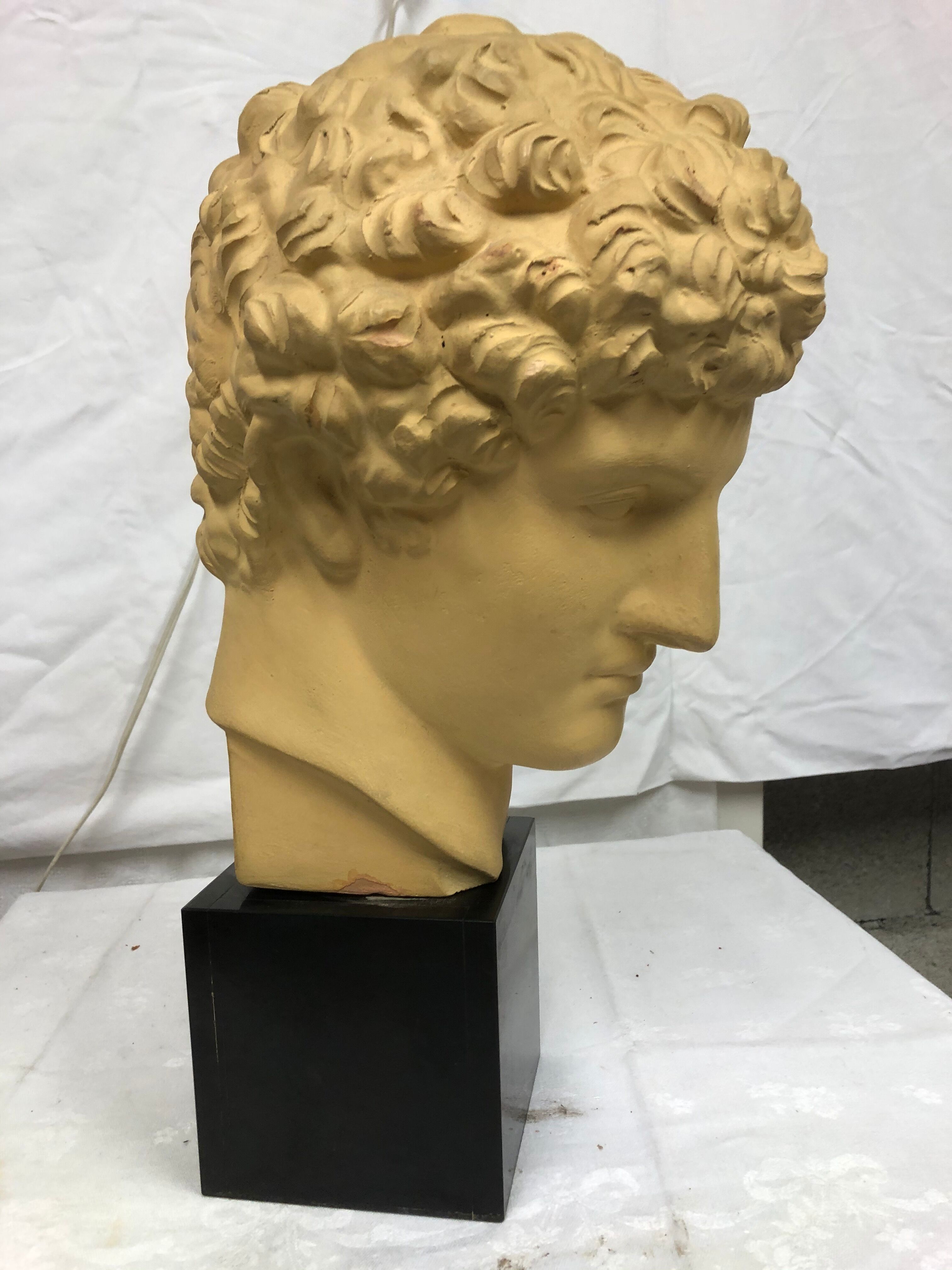 Tête de romain antique des années 70