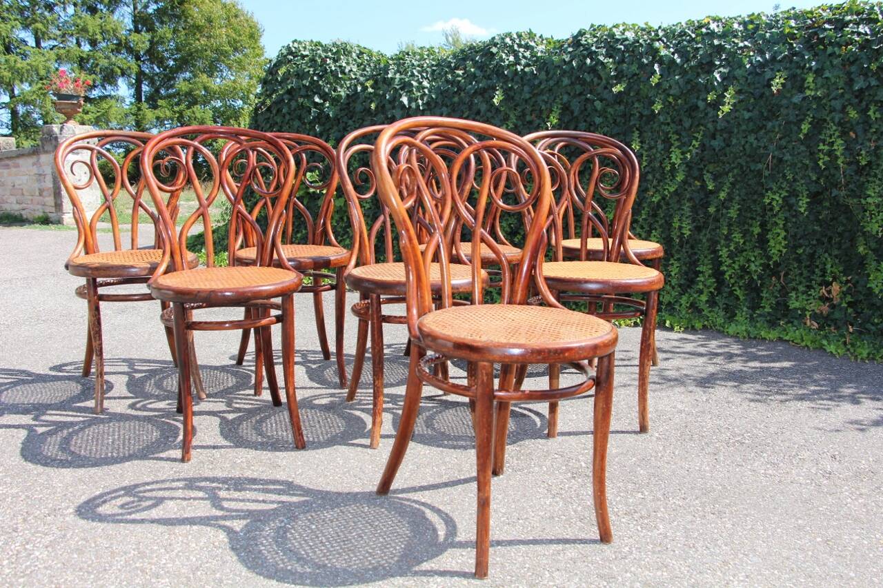 Série de x8 chaises bistrot style Thonet
