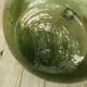 Demijohn green 12L