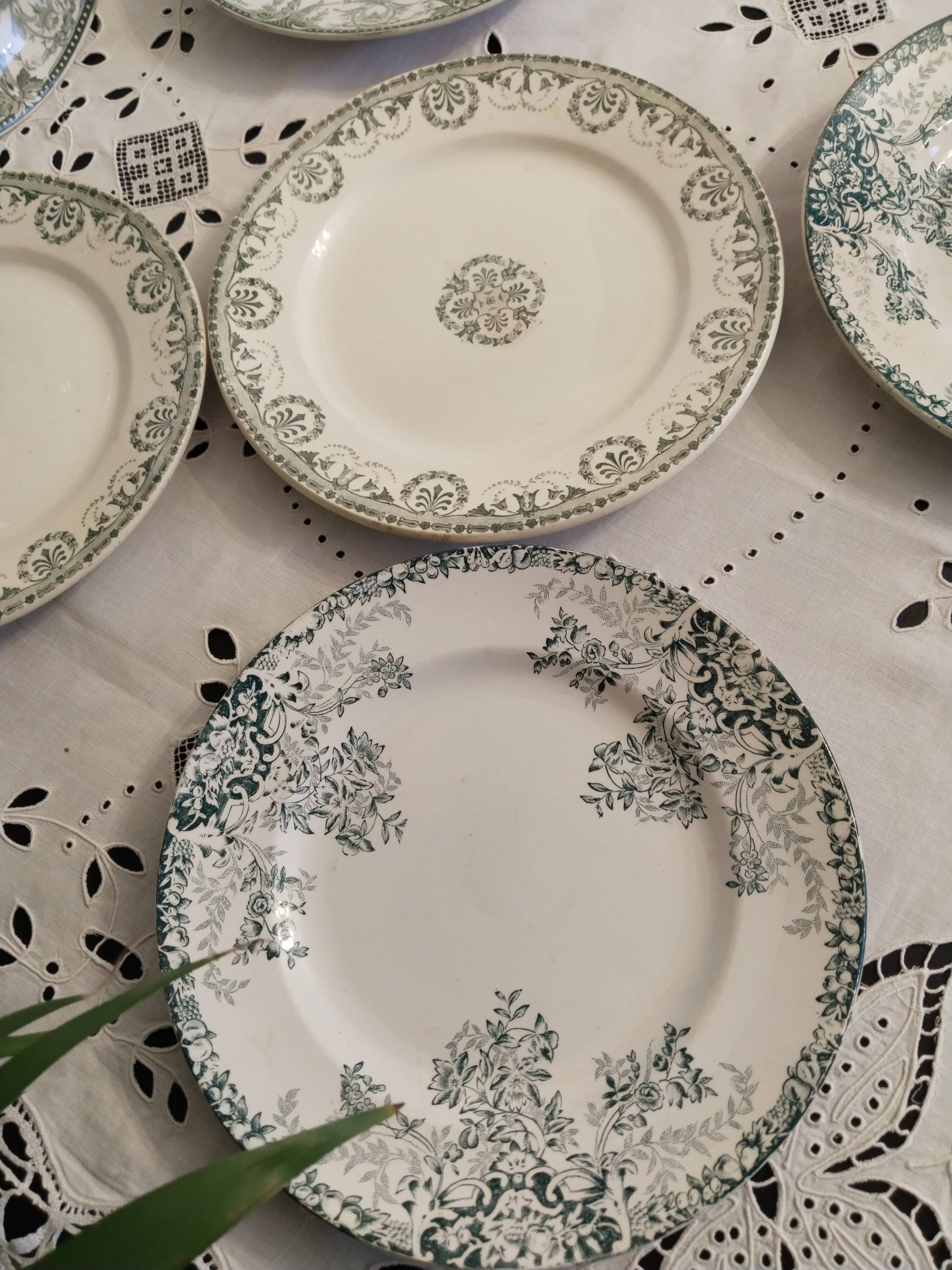 Set of 6 dinner plates in Terre de fer earthenware, blue green color
