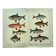 1898 Engraving - Fish - Bream and Rudd. Vintage Lithograph