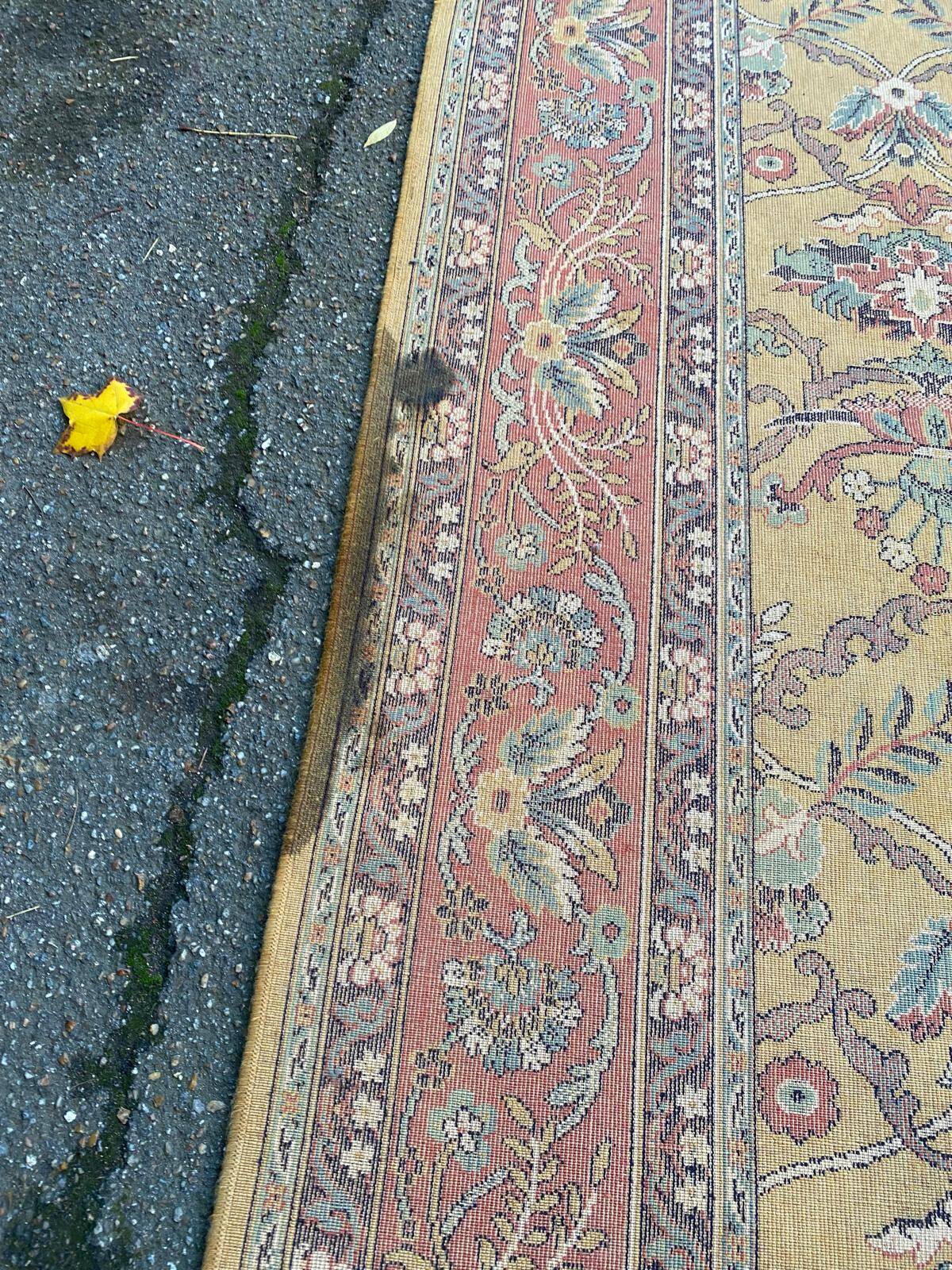 Persian rug in burgundy yellow wool, 200x300cm