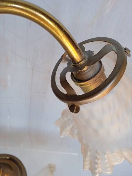 Tulip swan neck desk lamp in frosted glass