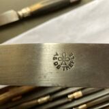 Lot of 12 horn handle knives