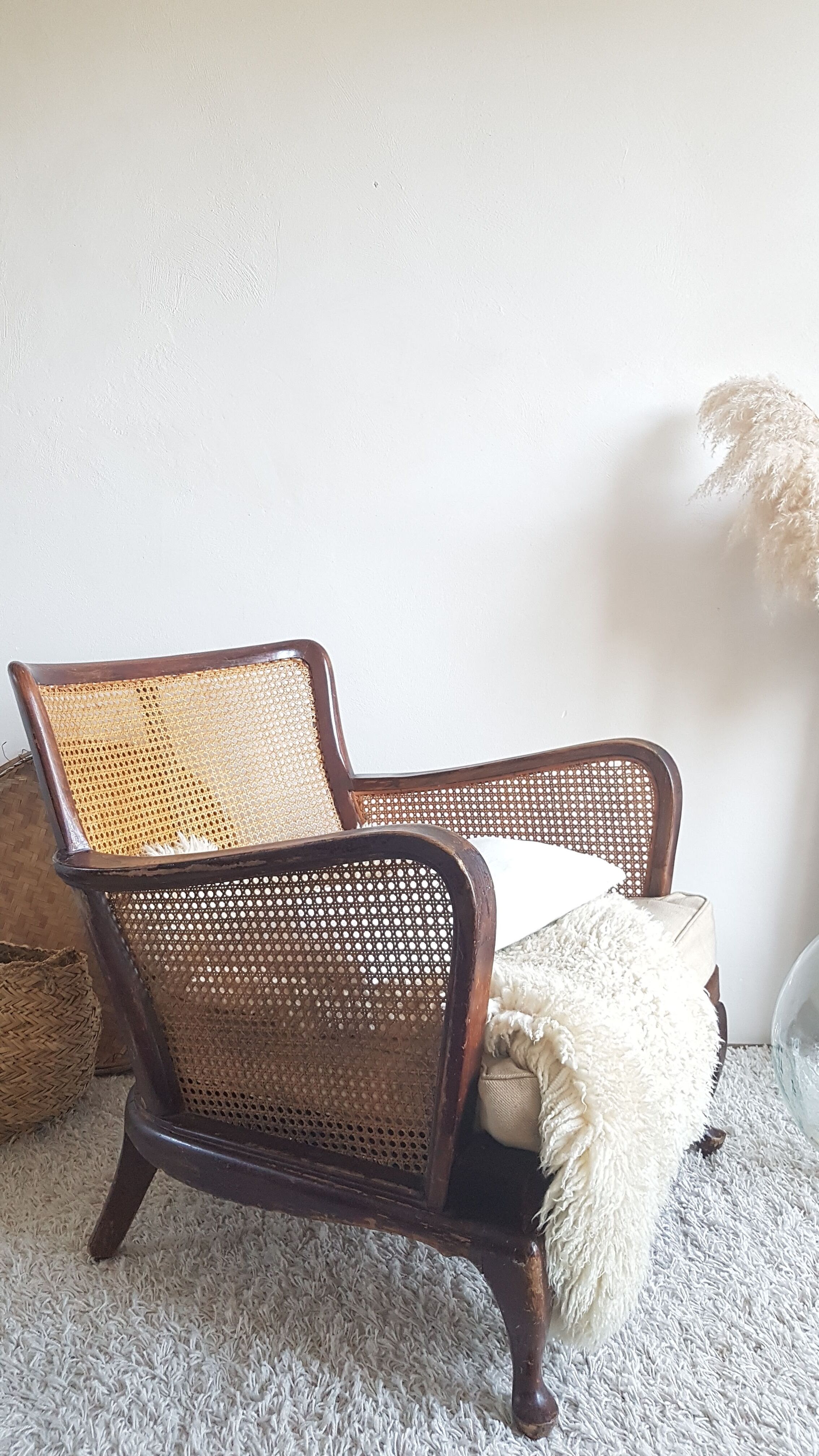 Steiner canna armchair