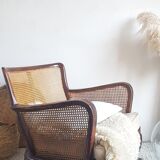Steiner canna armchair