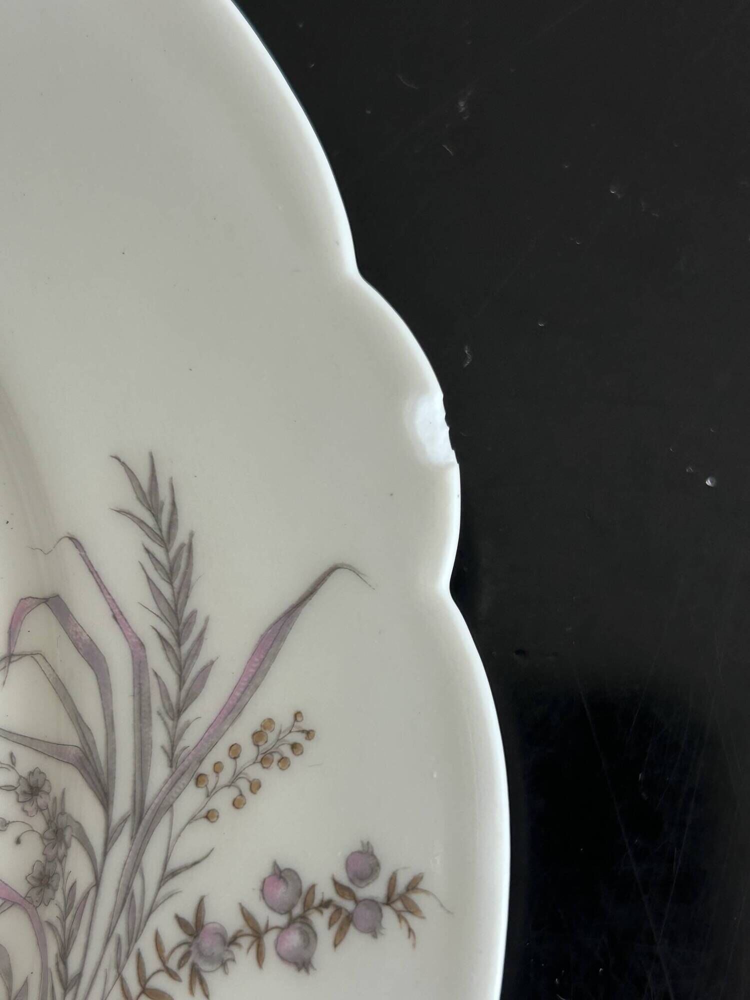 8 porcelain plates and 1 dish CH Pillivuyt & Cie