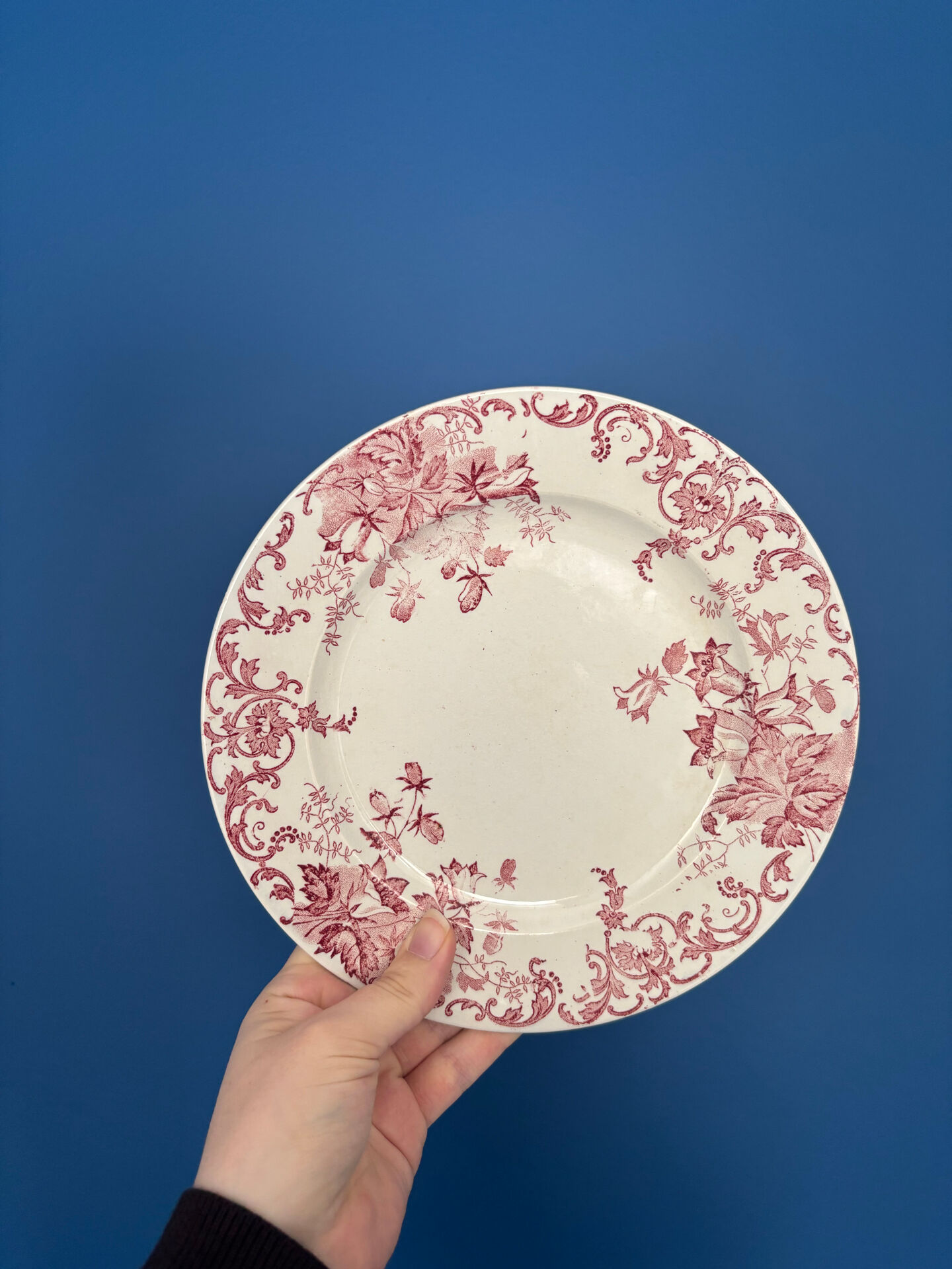Lot de 6 assiettes à dessert Terre de Fer rose St Amand Hamage modèle